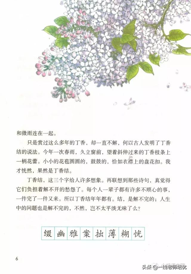 平淡无味的意思，清淡无味的意思（部编版六年级上册第2课《丁香结》重点知识点+图文解读）