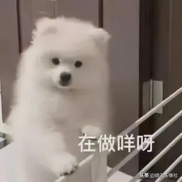 表情包啊啊啊，微信头像，表情包啊啊啊（表情包 ， 女孩就要酷一点）