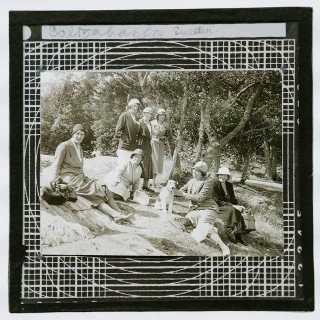 picnic是什么意思，picnic意思（最野的野餐，只在朋友圈里）