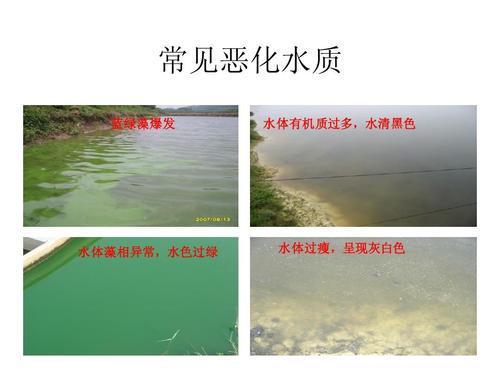 下雨后池塘水非常浑浊是什么原因，专家教你怎么处理