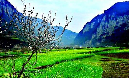 村居古诗的意思，村居古诗意思（为了主题的意象——解读古诗的一点心得）