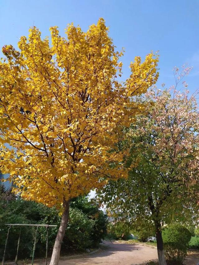 辽宁科技大学宿舍，2021年辽宁科技大学新生宿舍条件图片环境怎么样（<十五>辽宁科技大学）