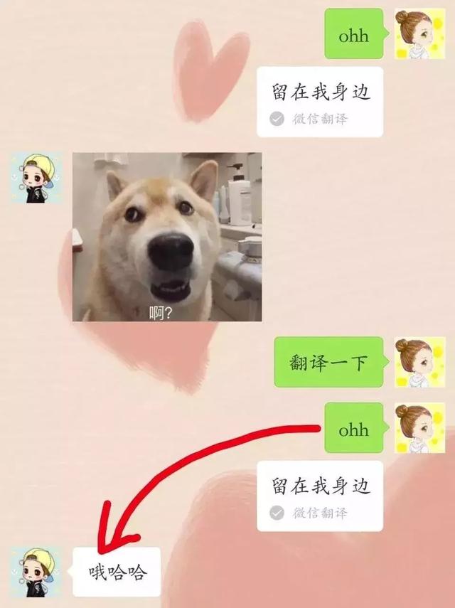 559是什么意思，559是什么意思爱情（还可以向喜欢的人表白）