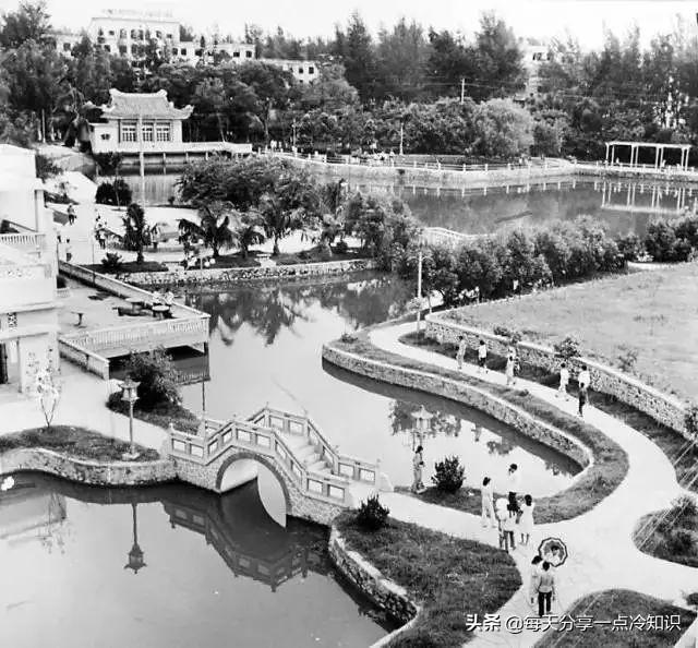 如何区分农眼树和荔枝树，龙眼树和荔枝树的区别（10个茂名冷知识）