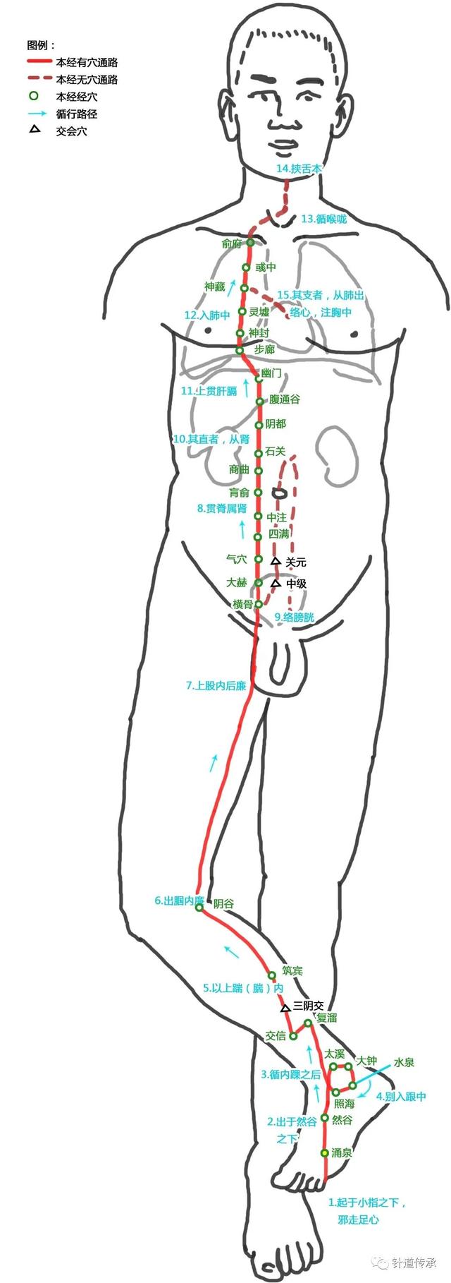 十二经脉歌诀必背，十二经脉流注次序歌诀必背（这篇十二经脉解读汇总全告诉你）