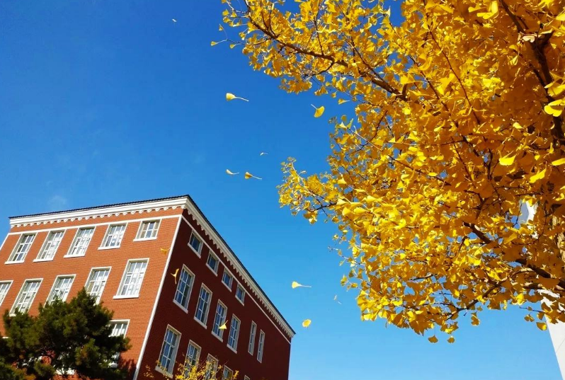 辽宁考研学校都有哪些（辽宁这5所大学）