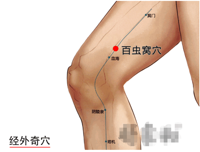 鱼腰的准确位置和作用，个个都是穴位学中的高手