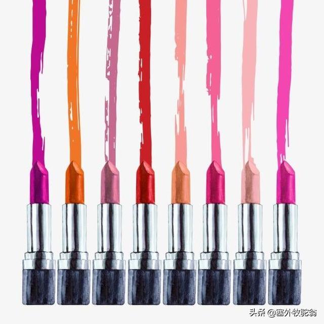 一条狗还是一只狗，一条狗还是一只狗用哪个量词（听说量词吓坏了学汉语的歪果仁）