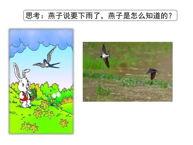 用赶紧造句子，用赶紧造句子一年级（部编版一年级下册第14课《要下雨了》知识点+图文讲解）