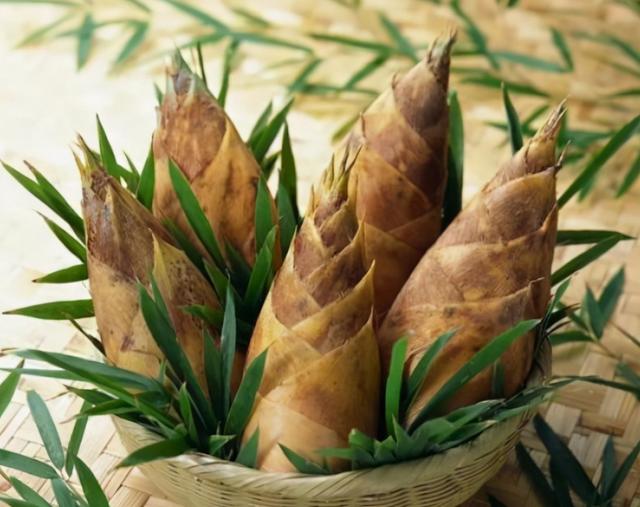 鲜笋怎么保存法，鲜笋如何保存（学会4个方法）