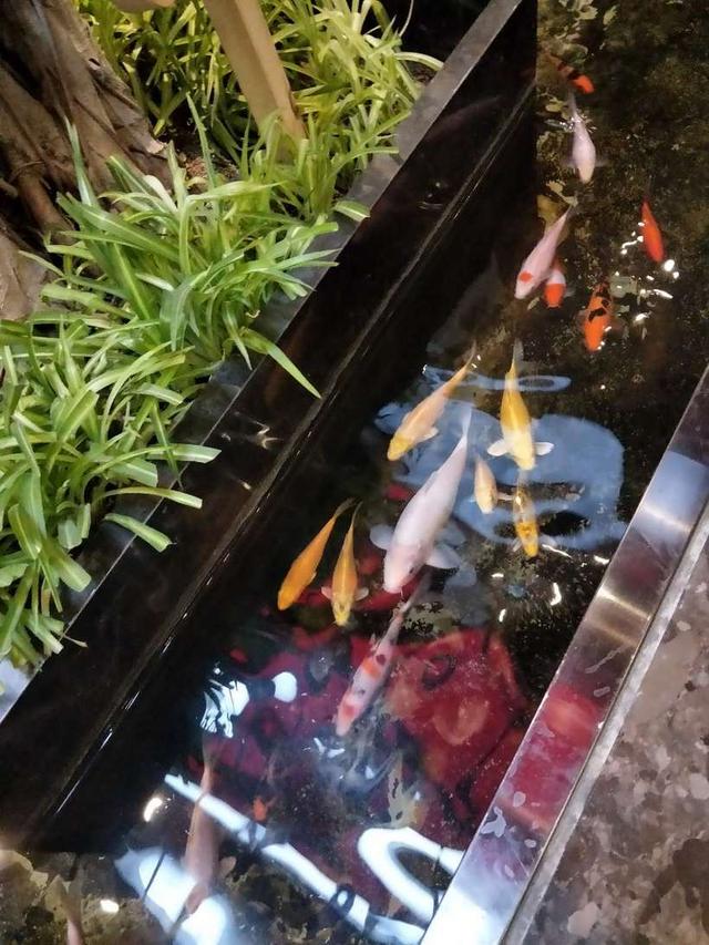 保定动物园里这几种动物特别有意思，保定市哪个动物园好玩（亲子逛吃逛吃逛吃~~）