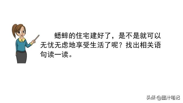 蟋蟀的住宅指的是什么，蟋蟀的住宅 是指什么（第三单元《蟋蟀的住宅》课文讲析）