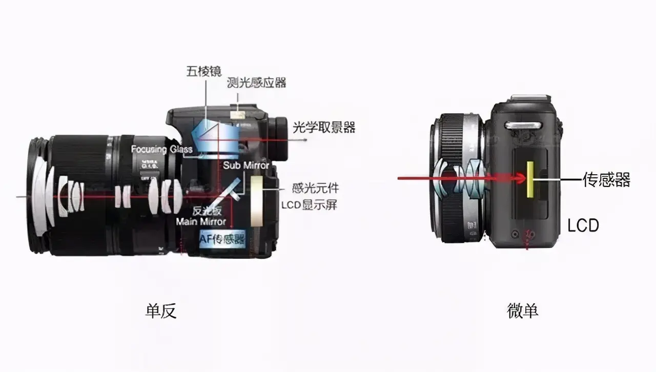 单反是什么意思（单反和微单的4大区别解析）