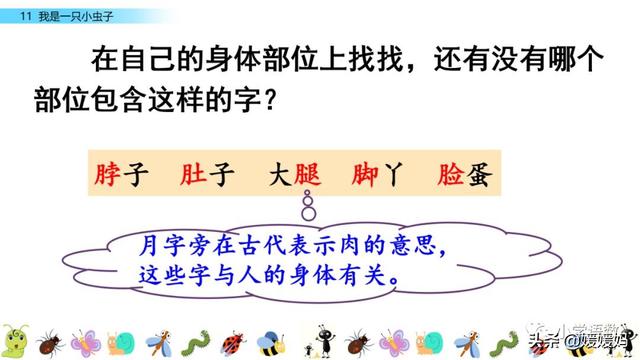 呀组词，呀的多音字组词（二年级下册语文课文11《我是一只小虫子》图文详解及同步练习）