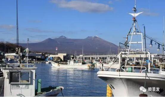 世界上有哪些渔场，世界上有几个渔场（天下“渔仓”——走进世界四大渔场）