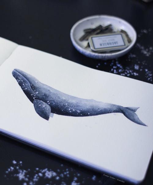 我想我是海歌词，海浪无声将夜幕深深淹没是哪首歌（我想我是海宁静的深海）