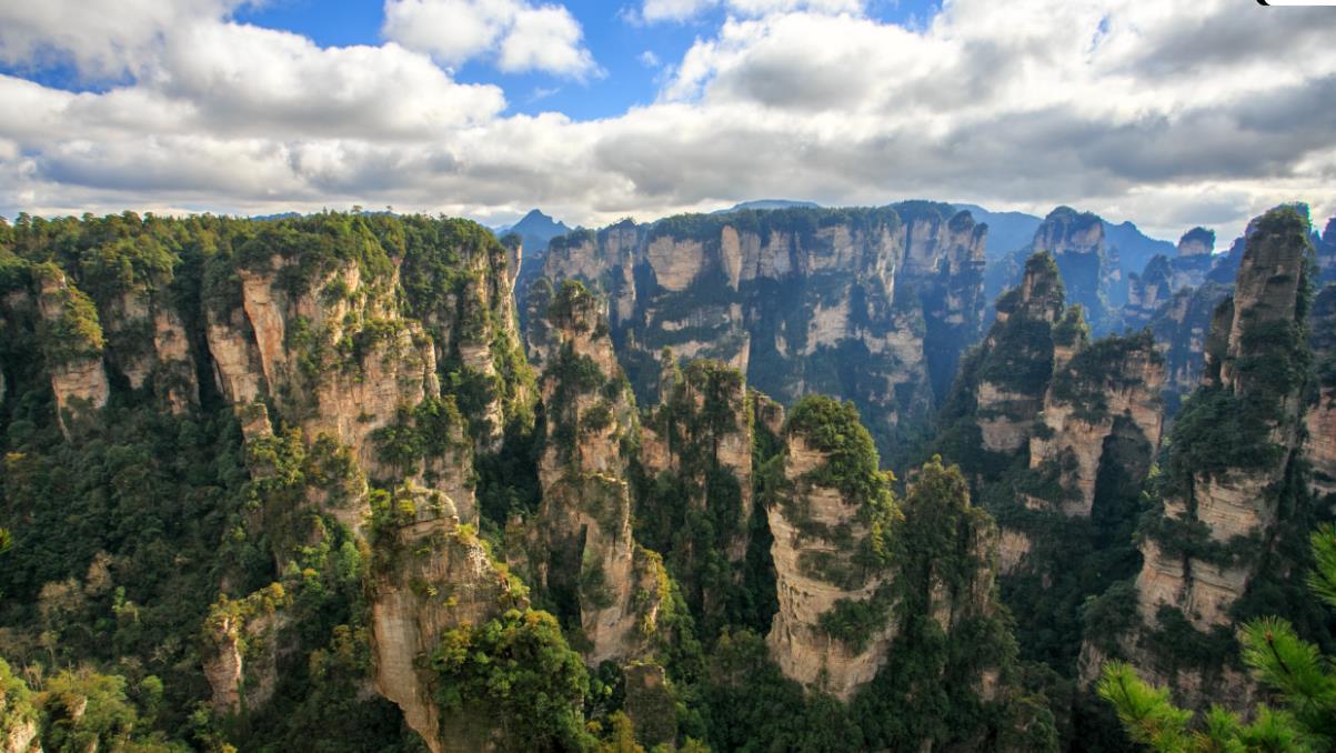 张家界旅游攻略自由行攻略（全面又实用，看这一篇就够了）