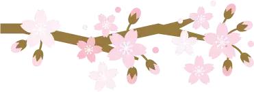 流芳千古的意思，千古流芳的意思是什么（每日一字：芳）