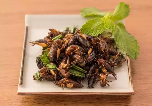 虫豸是什么意思，惊蛰乌鸦叫是什么意思（为什么两广人草木虫豸都敢吃）