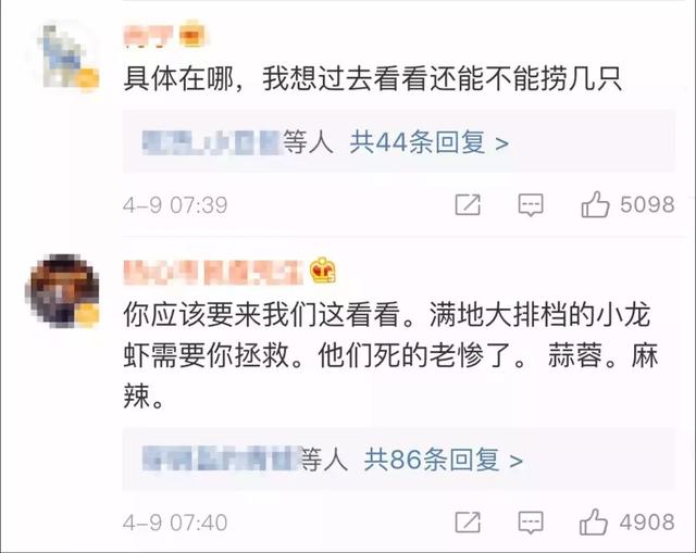 梦见龙虾预示着什么，梦见吃龙虾是什么意思（竟有如此遭遇……）