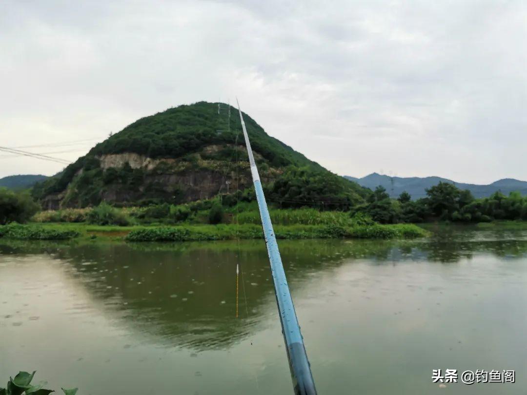 太空豆穿线技巧详解：5个实用钓鱼小常识助你轻松上手，提升垂钓效率与乐趣