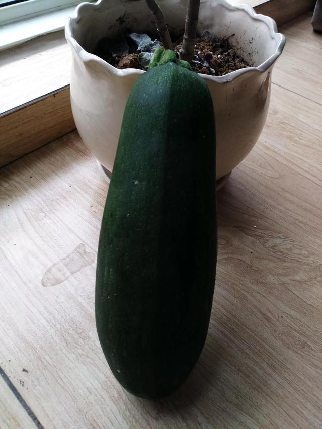 舍什么求什么成语，舍什么的求什么的四字成语（舍近求远）