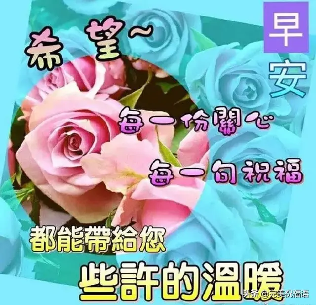 人生就像蒲公英，人生就像蒲公英看似自由却身不由己经典美文（人生就像蒲公英 看似自由 却身不由己）