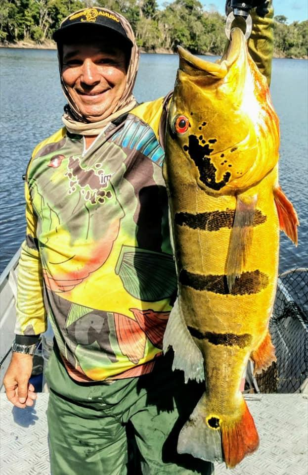 帝王三间和巴西亚鱼有什么区别，巴西亚鱼与皇冠三间鱼有什么区别（也许等不到中国钓鱼人就被消灭光了）