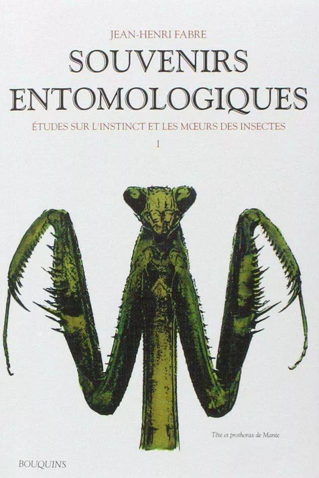 法布尔的资料简介，法布尔小传：为了死去的儿子