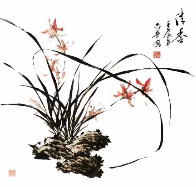 梅兰竹菊四君子，四君子梅兰竹菊的象征意义（梅兰竹菊  四君子）