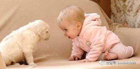 早期教育是指什么，早期教育是指什么意思（怎样理解早期教育）