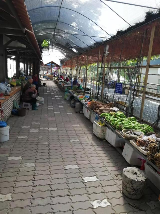 番禺有什么好玩的地方，番禺有什么好玩的（广州番禺旅游攻略<C篇>）