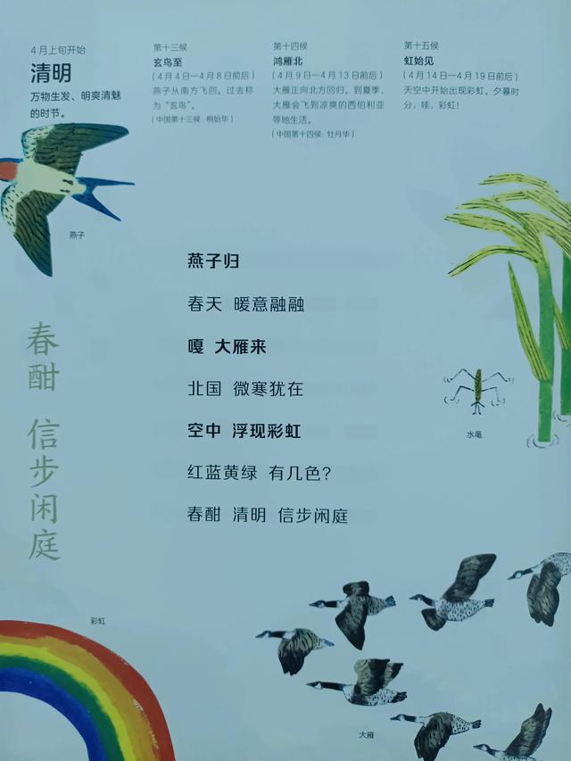 四季是按什么划分的，四季是如何划分（一年四季二十四节气）
