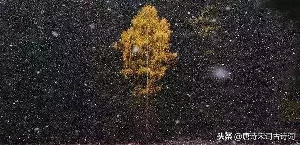 精选的咏雪的名句大全,咏雪的诗词名句(36首咏雪古诗词带你欣赏绝美之至) 精选的咏雪的名句大全,咏雪的诗词名句(36首咏雪古诗词带你欣赏绝美之至)