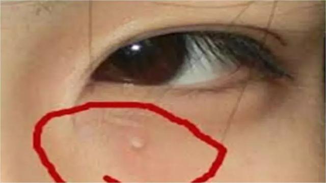 兰蔻眼霜生产日期怎么看生产日期，兰蔻面霜哪里看生产日期（无论你现在20、30还是40岁）