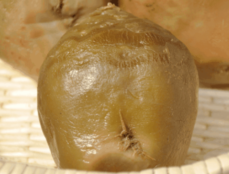 芥菜疙瘩的腌制方法，芥菜疙瘩的腌制方法10斤配方（配方和比例详细分享给你）