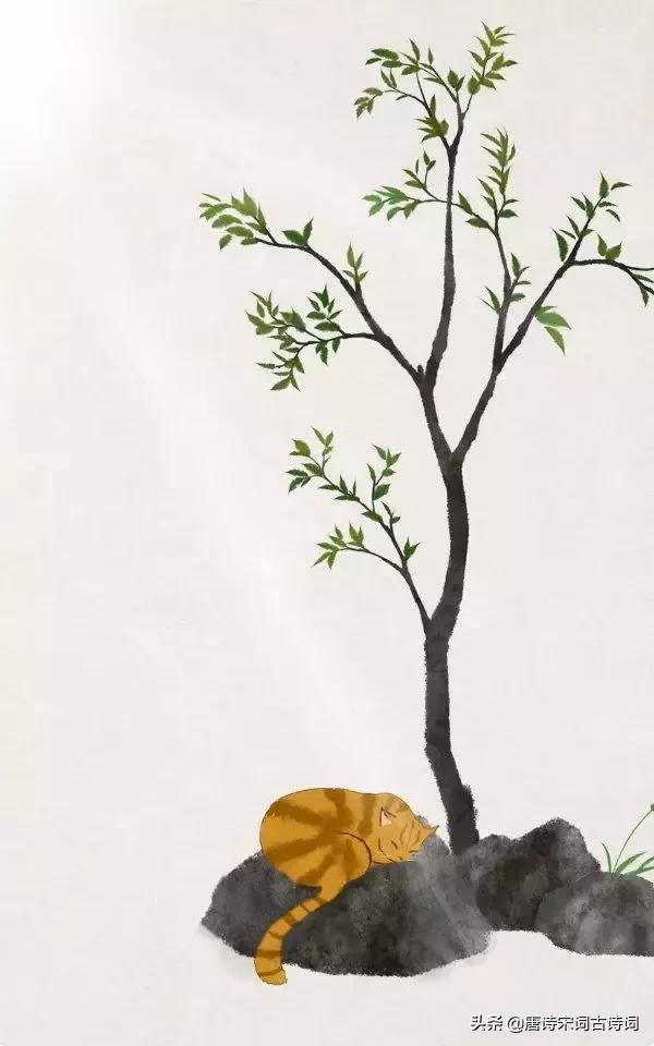  江山代有才人出，江山代有才人出的意思（你知道出自哪些诗词吗） 