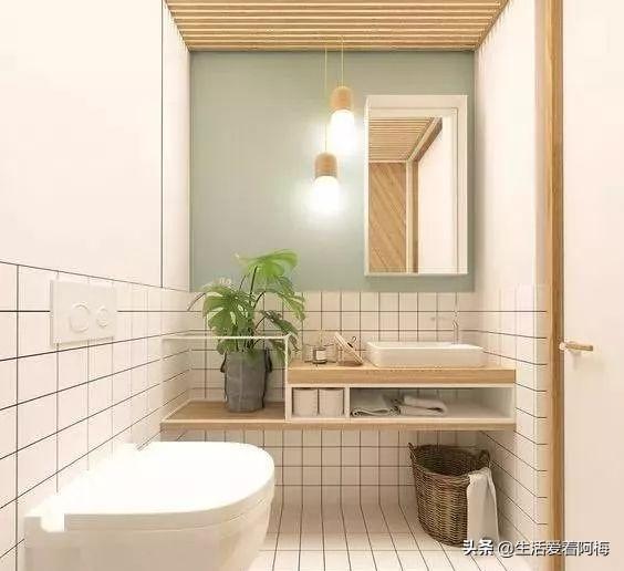 霸王芋，卫生间潮湿、发霉、不通风（霸王芋的养殖方法和注意事项）