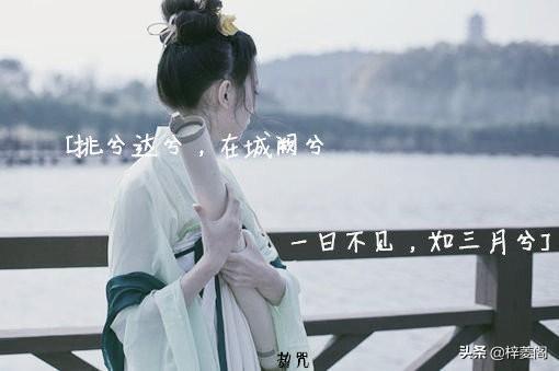 诗经中最唯美的名字，诗经中最唯美的名字有哪些（诗经楚辞中150个唯美的名字）