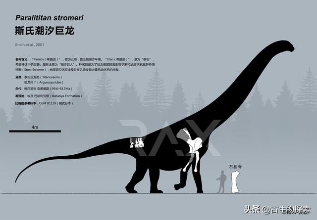 世界上有什么恐龙，世界上有几种恐龙（世界最大恐龙排行榜）