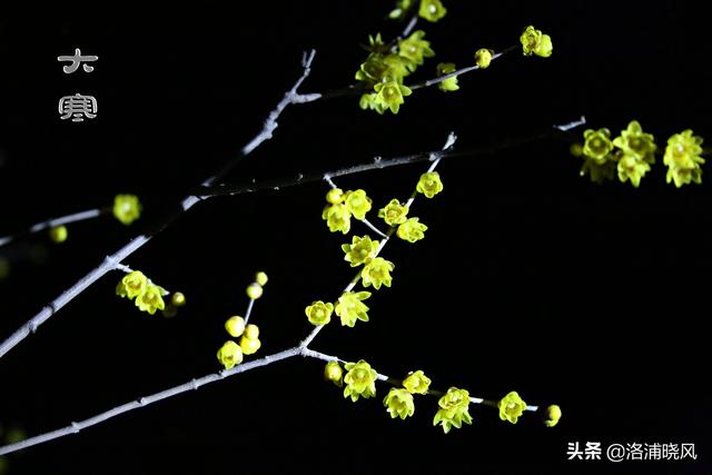 手工日历简单又漂亮，自制日历装饰（2020年手工极简版二十四节气日历）