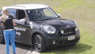 我的世界狗怎么驯服，网友教自家狗子玩《我的世界》