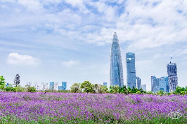 深圳十大免费景点，深圳十大必玩免费景点排名