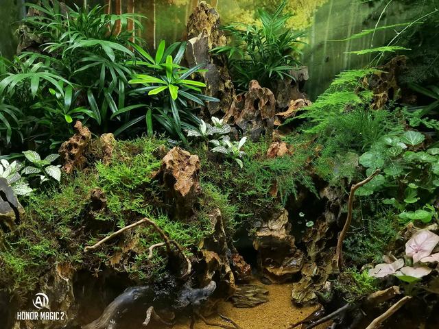 荣耀magic2，荣耀magic2优点和缺点（体验未来，顶级旗舰手机）