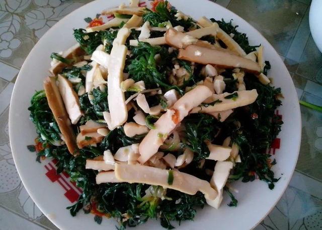 做清明果的草叫什么草，做清明果的那种草叫什么（春天不可错过的4种野菜）