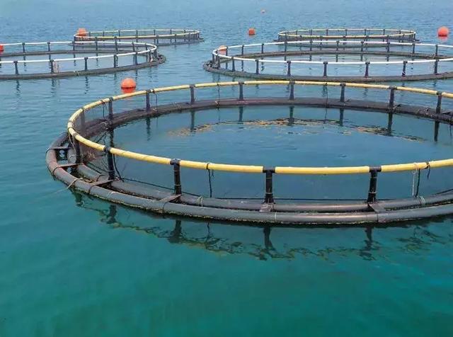 水族科学与技术,水族科学与技术专业未来就业前景和就业方向分析(可不是学习养鱼那么简单哦 ) 水族科学与技术,水族科学与技术专业未来就业前景和就业方向分析(可不是学习养鱼那么简单哦 )