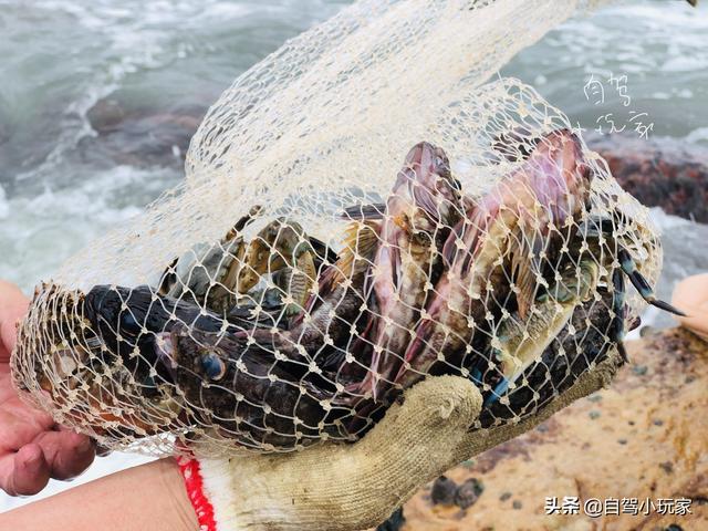 惠州海岛旅游景点哪里好玩，惠州野沙滩大汇总：8个野沙滩