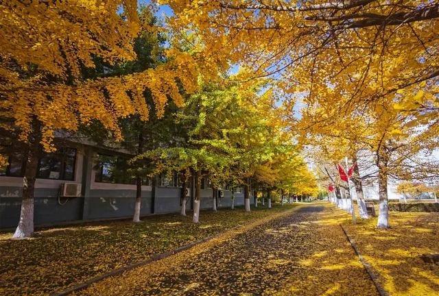 辽东学院宿舍条件怎么样，辽东学院宿舍几人间（辽宁省普通高等院校）