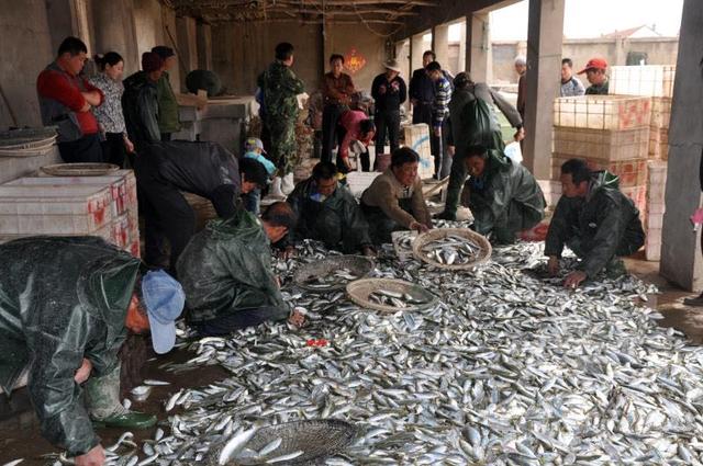 领导父亲病逝怎么发微信慰问，领导父亲去世致哀短信（老领导高绪平的真情好文——《清明节追思父亲》）