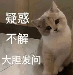 猫一天吃多少猫粮，成年猫一天吃多少猫粮（猫一顿饭要吃多少才够营养）